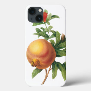 Oud voedsel Fruit, Granaatappel door Redoute iPhone 13 Hoesje