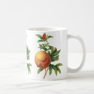 Oud voedsel Fruit, Granaatappel door Redoute Koffiemok
