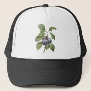 Oud voedsel Fruit, paarse tuinpruimen door Redoute Trucker Pet