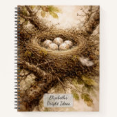 Oud vogelnest met eieren notitieboek (Voorkant)