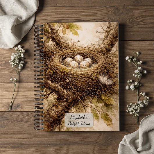 Oud vogelnest met eieren notitieboek