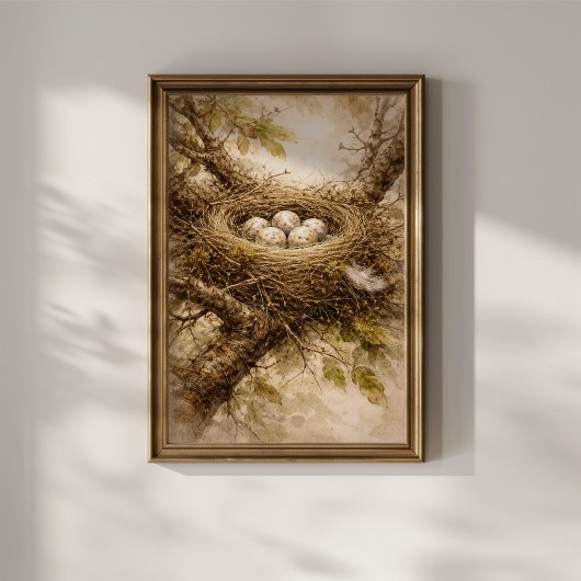 Oud vogelnest met eieren poster