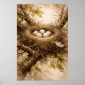 Oud vogelnest met eieren poster (Voorkant)