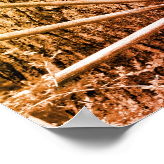 Oud wielzwart en wit vervormd  poster (Hoek)