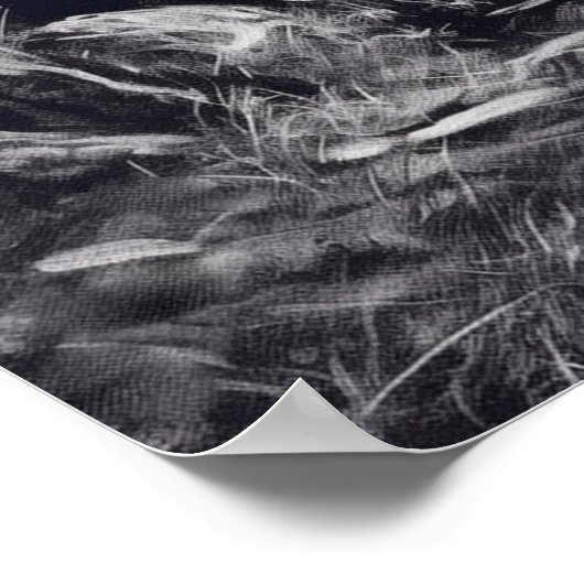 Oud wikkelpad door de bossen in lampglas poster (Hoek)