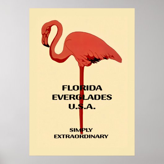 Oude 20x28 Florida Flamingo Poster (Voorkant)