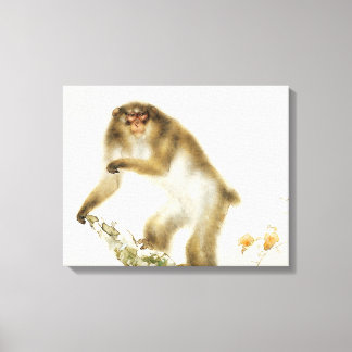 Oude aap met Cherry in het najaar Canvas Afdruk