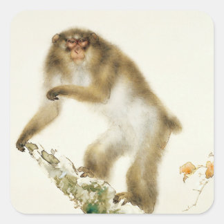 Oude aap met Cherry in het najaar Vierkante Sticker