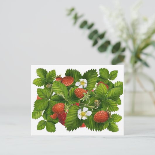 Oude Aardbei Plant Briefkaart (Staand voorkant)