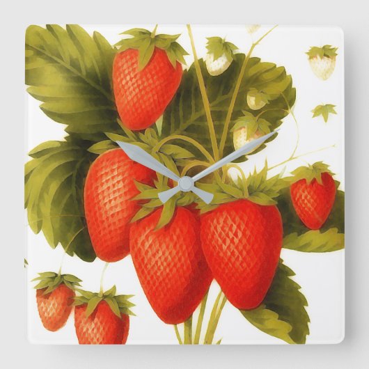 Oude aardbeien met groene bladeren vierkante klok (Voorkant)