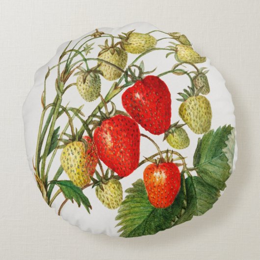 Oude Aardbeientak Rond Kussen (Achterkant)