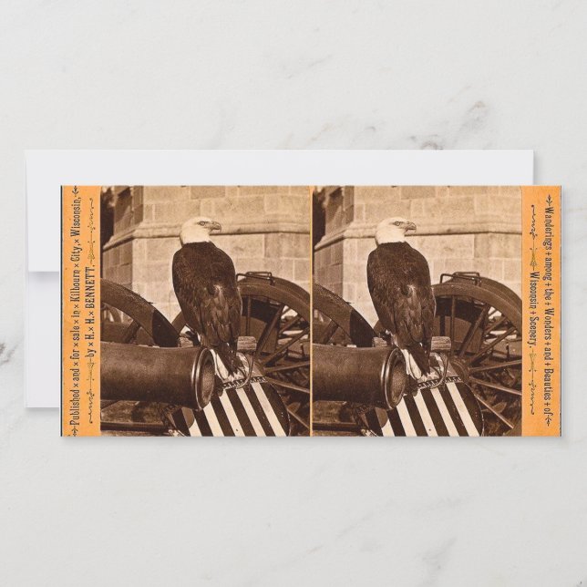 Oude Abe, de Eagle Stereoview van de Oorlog van Wi (Voorkant)