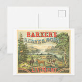 Oude advertentie patentgeneesmiddel voor paarden briefkaart (Voorkant / Achterkant)