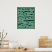 Oude afbeelding van walvissen poster (Keuken)