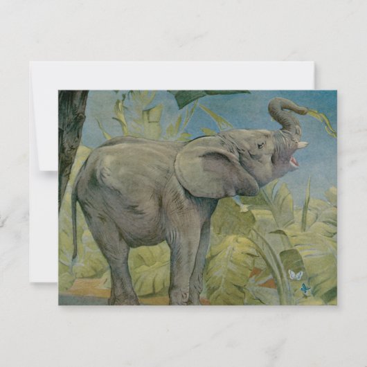 Oude Afrikaanse Olifant in de Jungle, EJ Detmold (Voorkant)