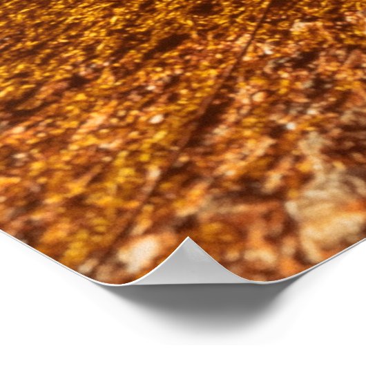 Oude Aiola. Traditionele Portugese boot op het str Poster (Hoek)