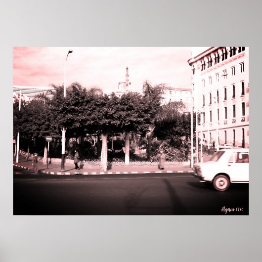 Oude Algerije Algiers auto's gebouw Poster (Voorkant)