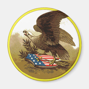 Oude Amerikaanse Adelaar Magneet