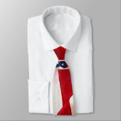 Oude Amerikaanse vlag Glory Stropdas (Gebonden)