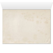 Oude Amerikaanse vlagpatriottische of militaire vl (Binenzijde Horizontaal (Onderkant))