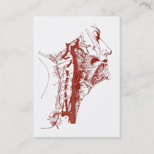 Oude anatomie Illustratie Menselijke vertebrale ar Visitekaartje