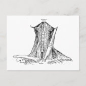 Oude anatomie-illustratiesymeren van de nek briefkaart (Voorkant)