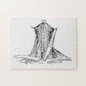 Oude anatomie-illustratiesymeren van de nek legpuzzel (Horizontaal)