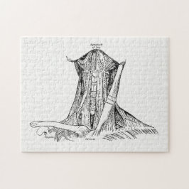 Oude anatomie-illustratiesymeren van de nek legpuzzel