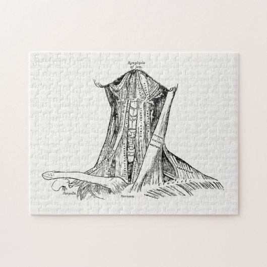 Oude anatomie-illustratiesymeren van de nek legpuzzel (Horizontaal)