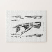 Oude anatomie Kunstspieren van de hand en de pols Legpuzzel (Horizontaal)
