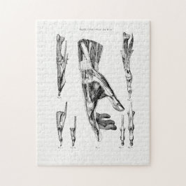 Oude anatomie Kunstspieren van de hand en de pols Legpuzzel