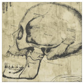 Oude Anatomie Stof (Swatch)