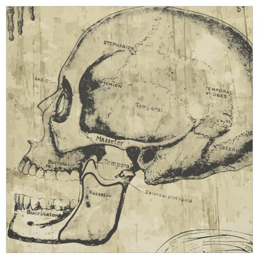 Oude Anatomie Stof (Swatch)