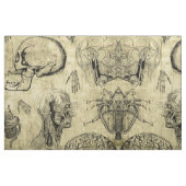 Oude Anatomie Stof (Fat Quarter)