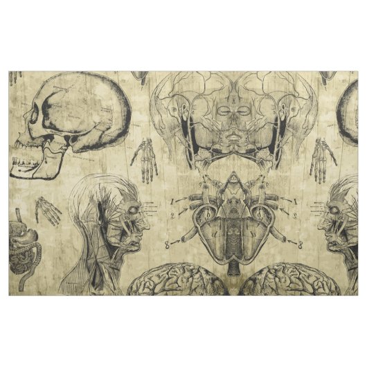 Oude Anatomie Stof (Fat Quarter)