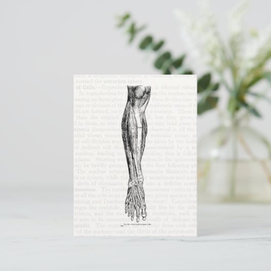 Oude anatomische tekenspieren van de poot zwart briefkaart (Staand voorkant)