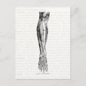 Oude anatomische tekenspieren van de poot zwart briefkaart (Voorkant)