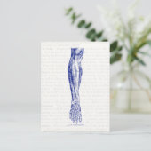 Oude anatomische tekenspieren van het beenblauw briefkaart (Staand voorkant)