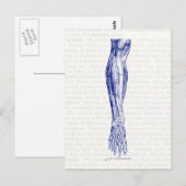 Oude anatomische tekenspieren van het beenblauw briefkaart (Voorkant / Achterkant)