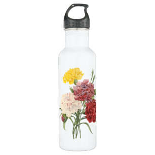 Oude Anjers Dianthus Tuin Bloemen Redoute Waterfles