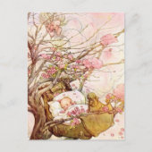 Oude Anne Anderson Baby in de Boomtop Briefkaart (Voorkant)