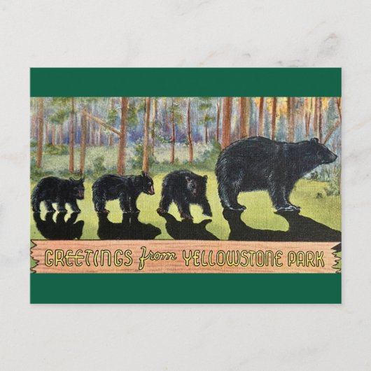 Oude ansichtkaart met beren uit Yellowstone Park Briefkaart (Voorkant)
