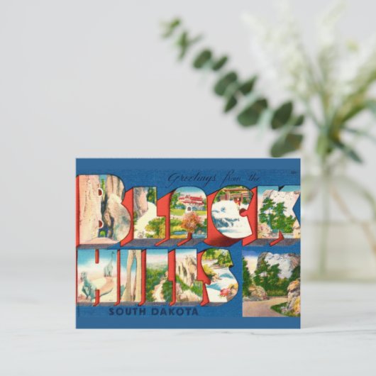 Oude ansichtkaart met groet uit Black Hills SD Briefkaart (Staand voorkant)
