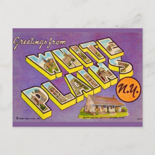 Oude ansichtkaart met groet uit White Plains NY Briefkaart