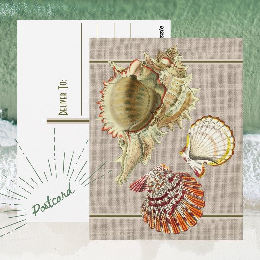Oude ansichtkaart met strandschelpen briefkaart