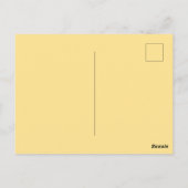 Oude ansichtkaart Panama City Florida Briefkaart (Achterkant)