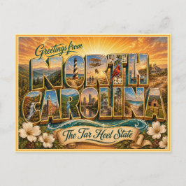 Oude ansichtkaart uit North Carolina Briefkaart