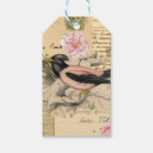 Oude ansichtkaart Vogel Collage Scrapboek Cadeaulabel (Voorkant)