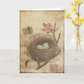 Oude ansichtkaart vogelnest en eieren kaart (Gele Bloem)