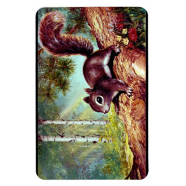 Oude Antiek Eekhoorn Afbeelding Magnet Magneet